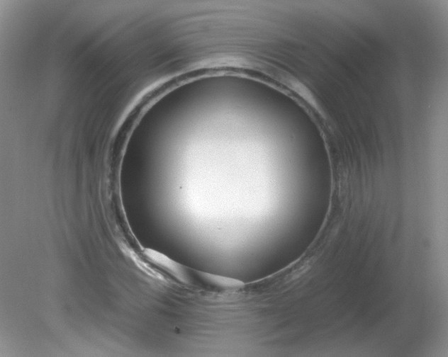 X0000081611116200701291420