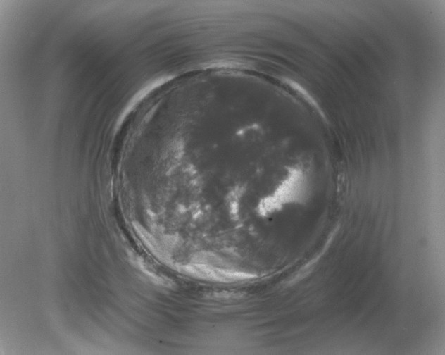 X0000081611117200701291420