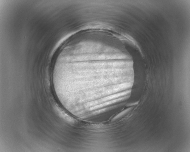 X0000081611120200701291420