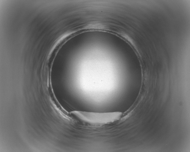 X0000081611123200701291420