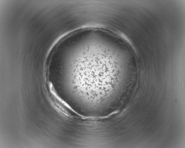 X0000081611124200701291420