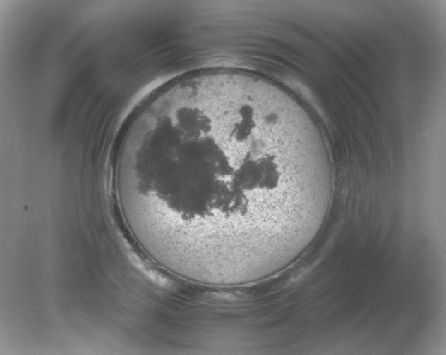 X0000081611125200701291420