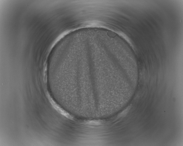 X0000081611126200701291420