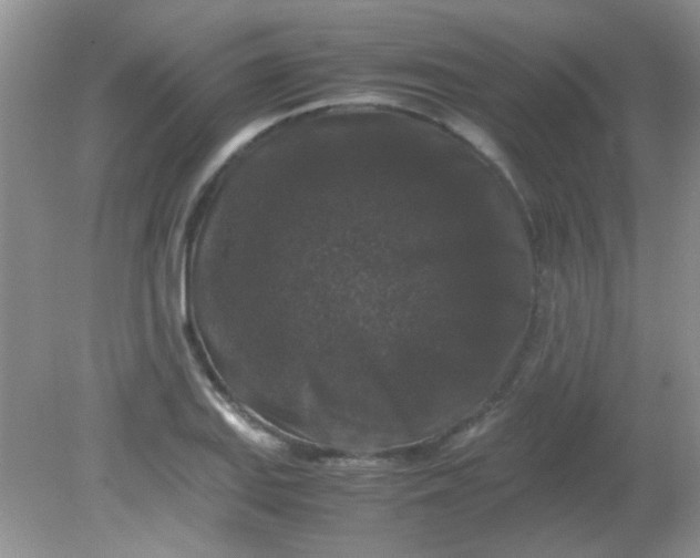 X0000081611127200701291420