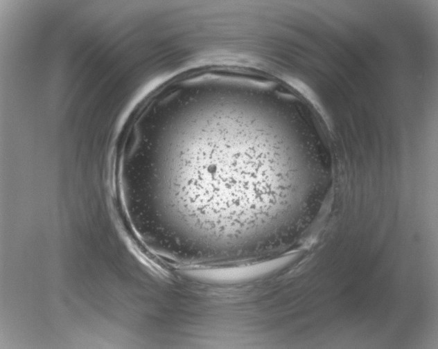 X0000081611128200701291420