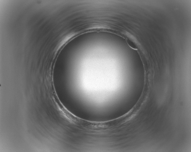 X0000081611129200701291420