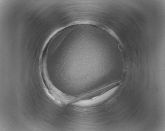 X0000081611132200701291420