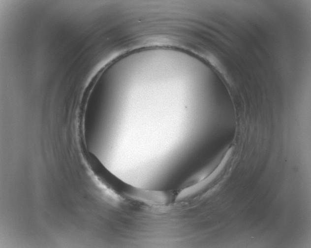 X0000081611134200701291420