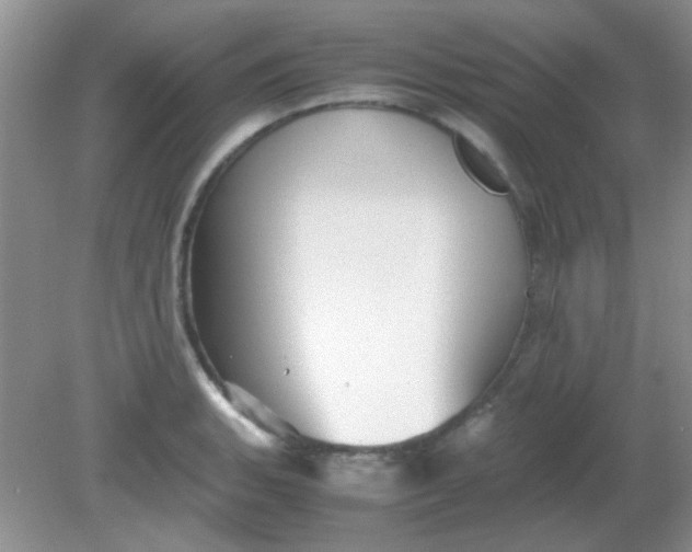 X0000081611135200701291420