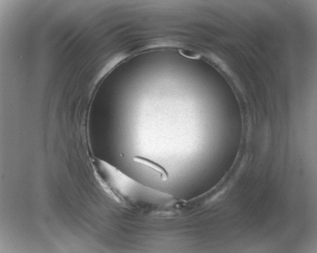 X0000081611137200701291420