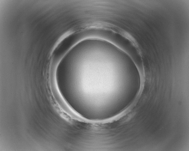 X0000081611138200701291420