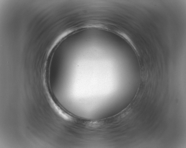 X0000081611139200701291420