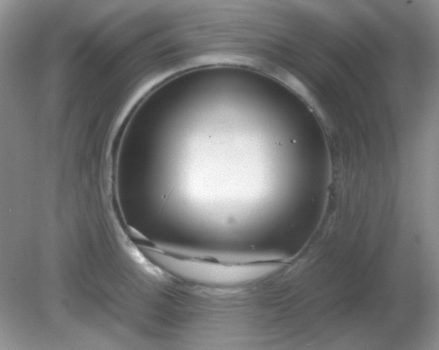 X0000081611140200701291420