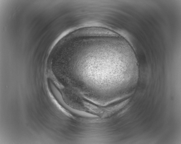 X0000081611142200701291420