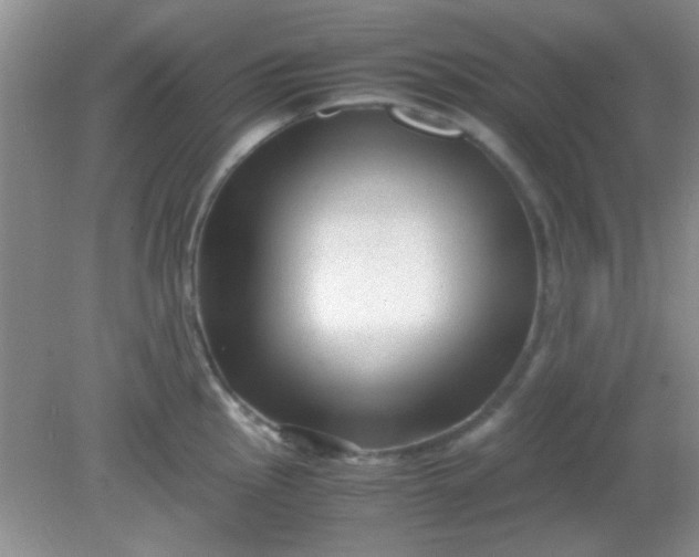 X0000081611145200701291420