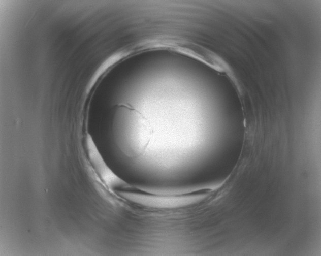 X0000081611146200701291420