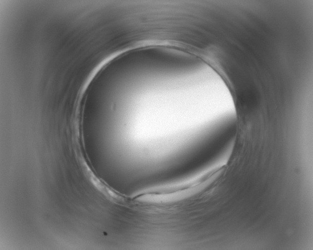 X0000081611148200701291420