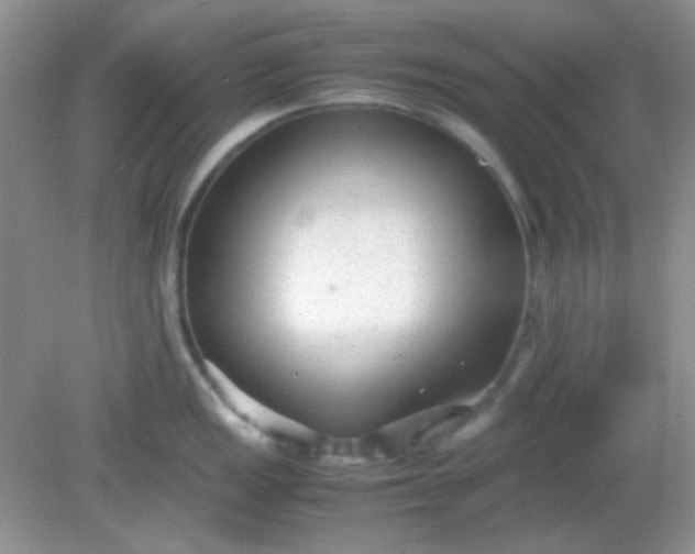 X0000081611149200701291420