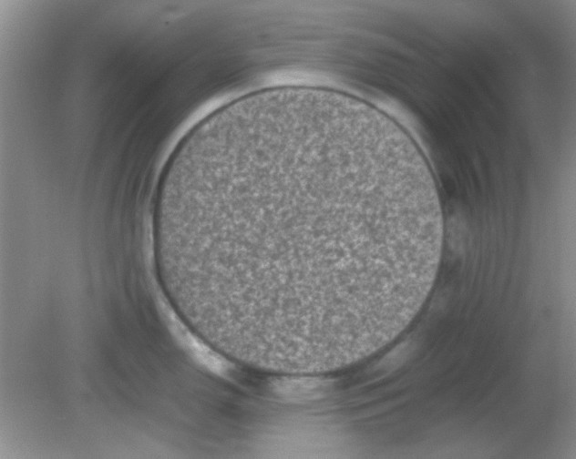 X0000081611150200701291420