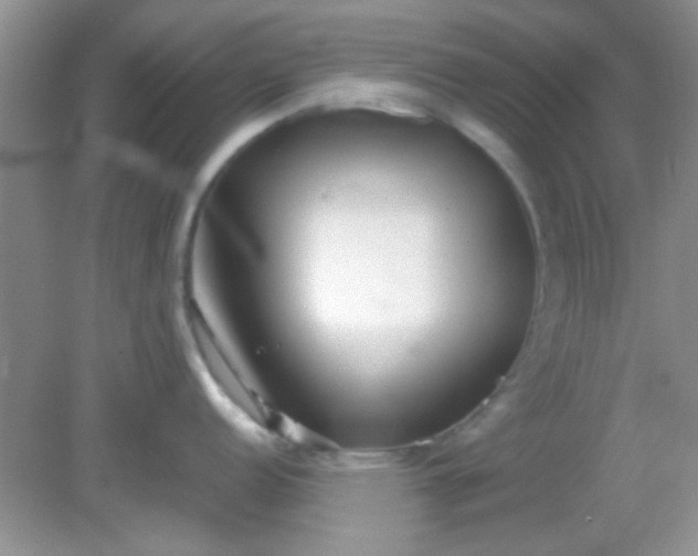 X0000081611152200701291420