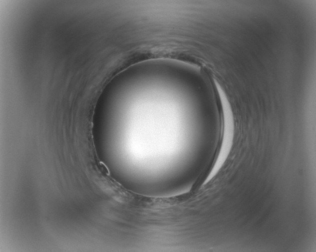 X0000081611153200701291420