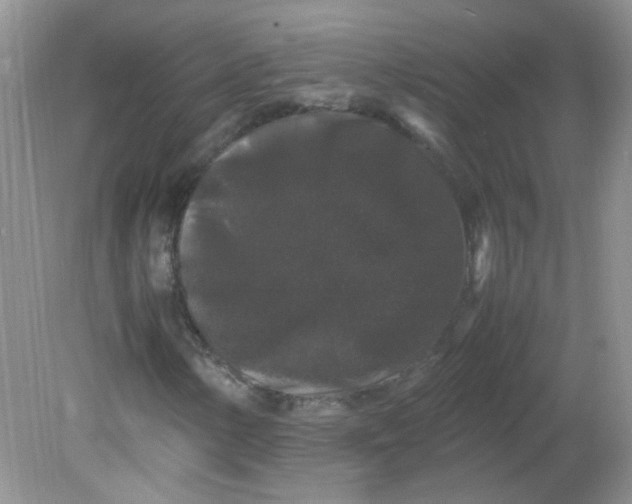 X0000081611154200701291420