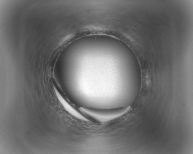 X0000081611157200701291420