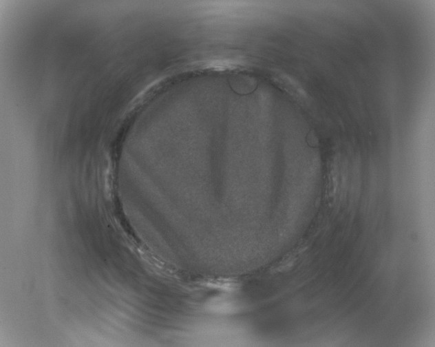 X0000081611158200701291420