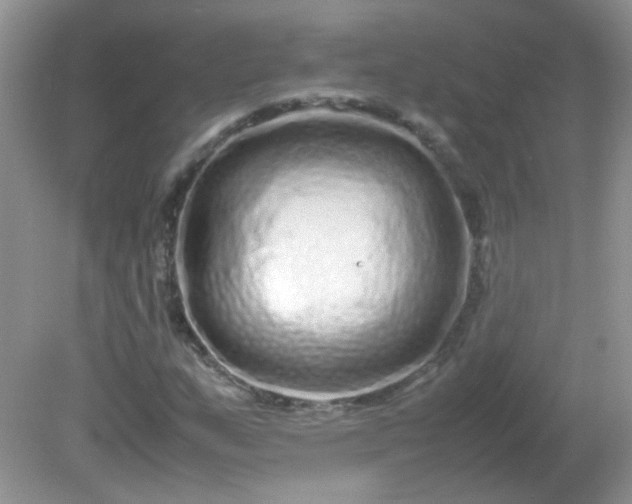 X0000081611159200701291420