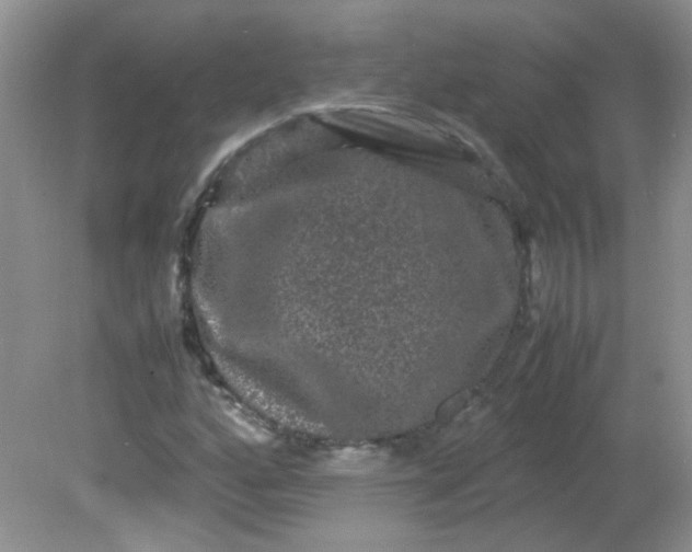 X0000081611160200701291420