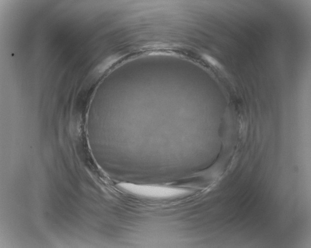 X0000081611161200701291419