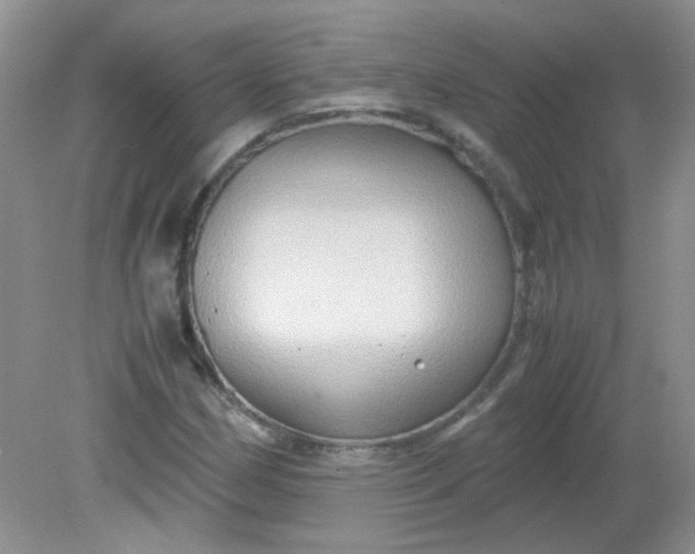 X0000081611162200701291419