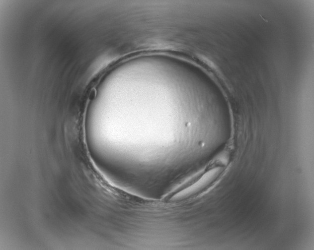 X0000081611163200701291419