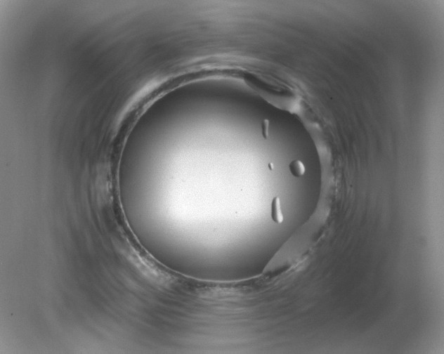 X0000081611164200701291419