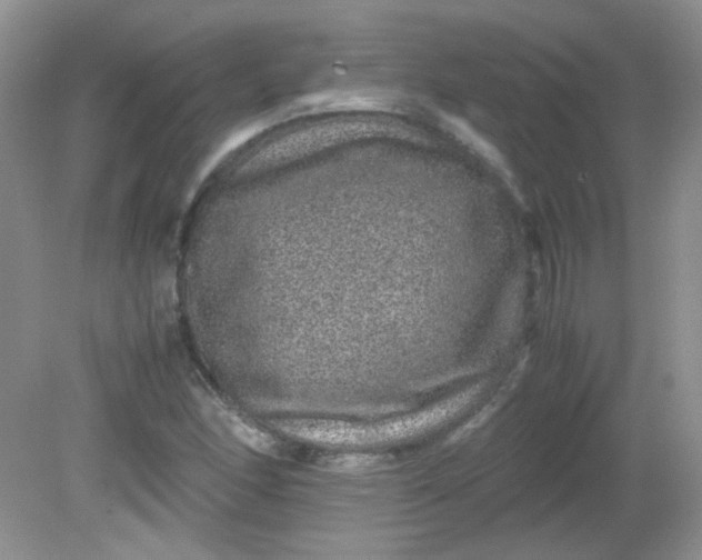 X0000081611166200701291419