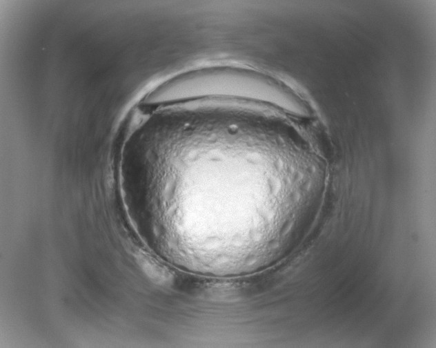 X0000081611167200701291419