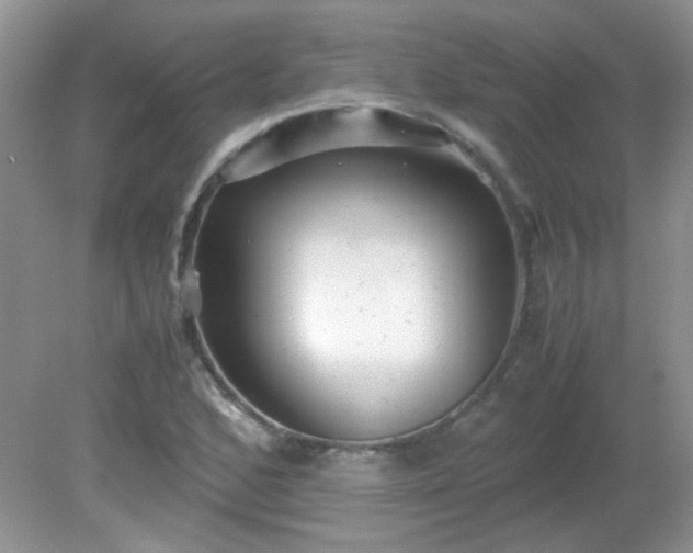 X0000081611168200701291419