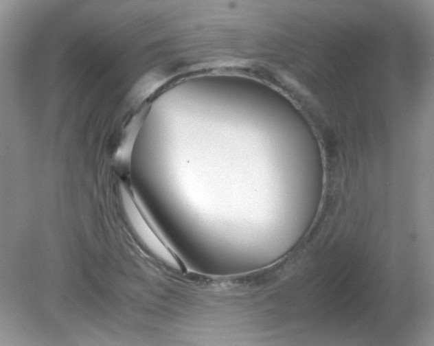 X0000081611169200701291419