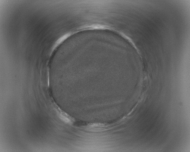 X0000081611171200701291419