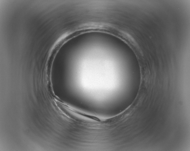 X0000081611172200701291419