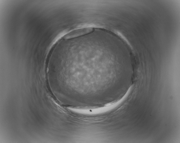 X0000081611173200701291419