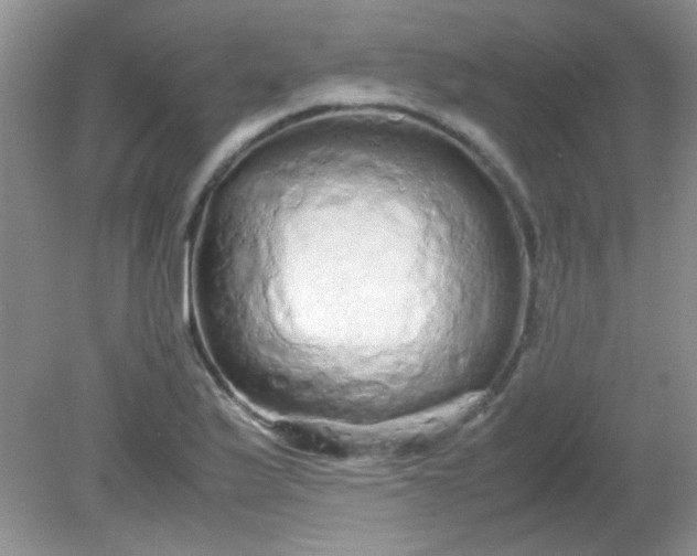 X0000081611175200701291419