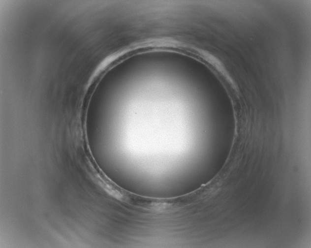 X0000081611176200701291419