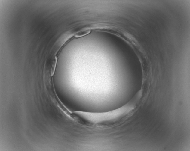 X0000081611177200701291419