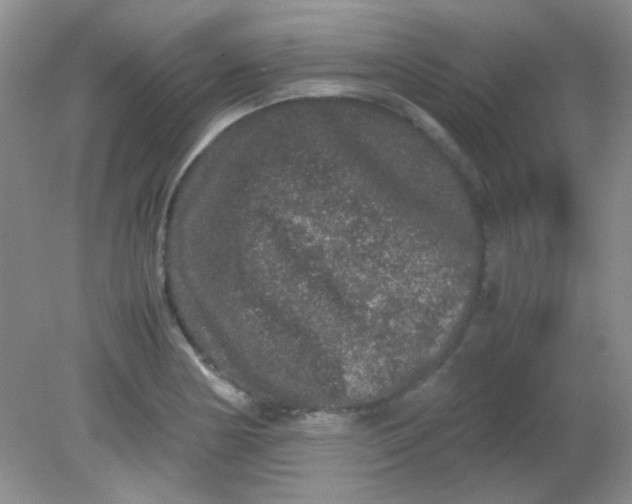 X0000081611178200701291419