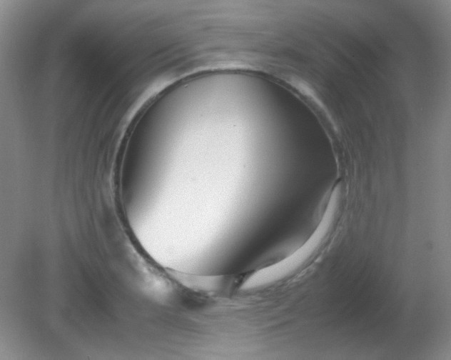 X0000081611181200701291419