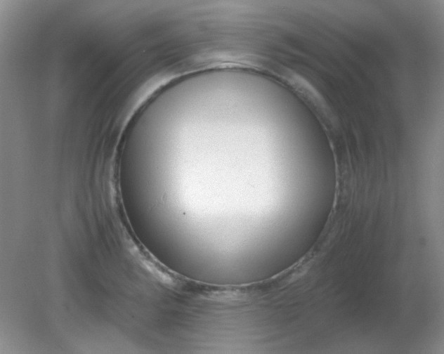 X0000081611182200701291419