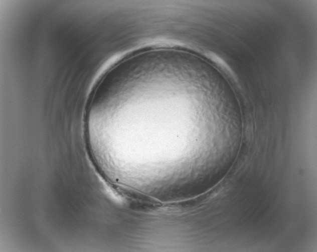 X0000081611183200701291419