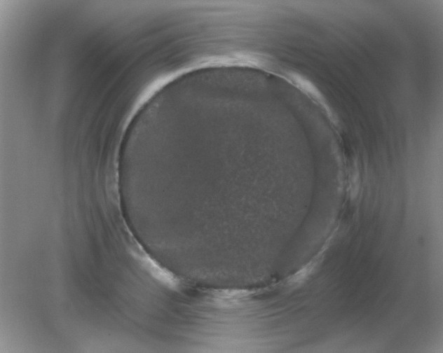 X0000081611184200701291419