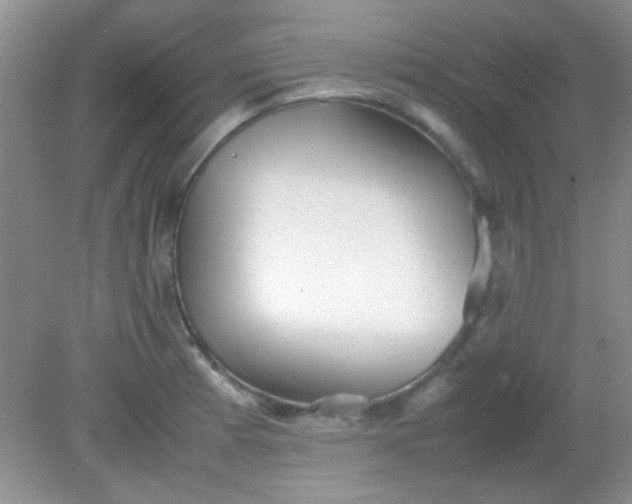 X0000081611185200701291419